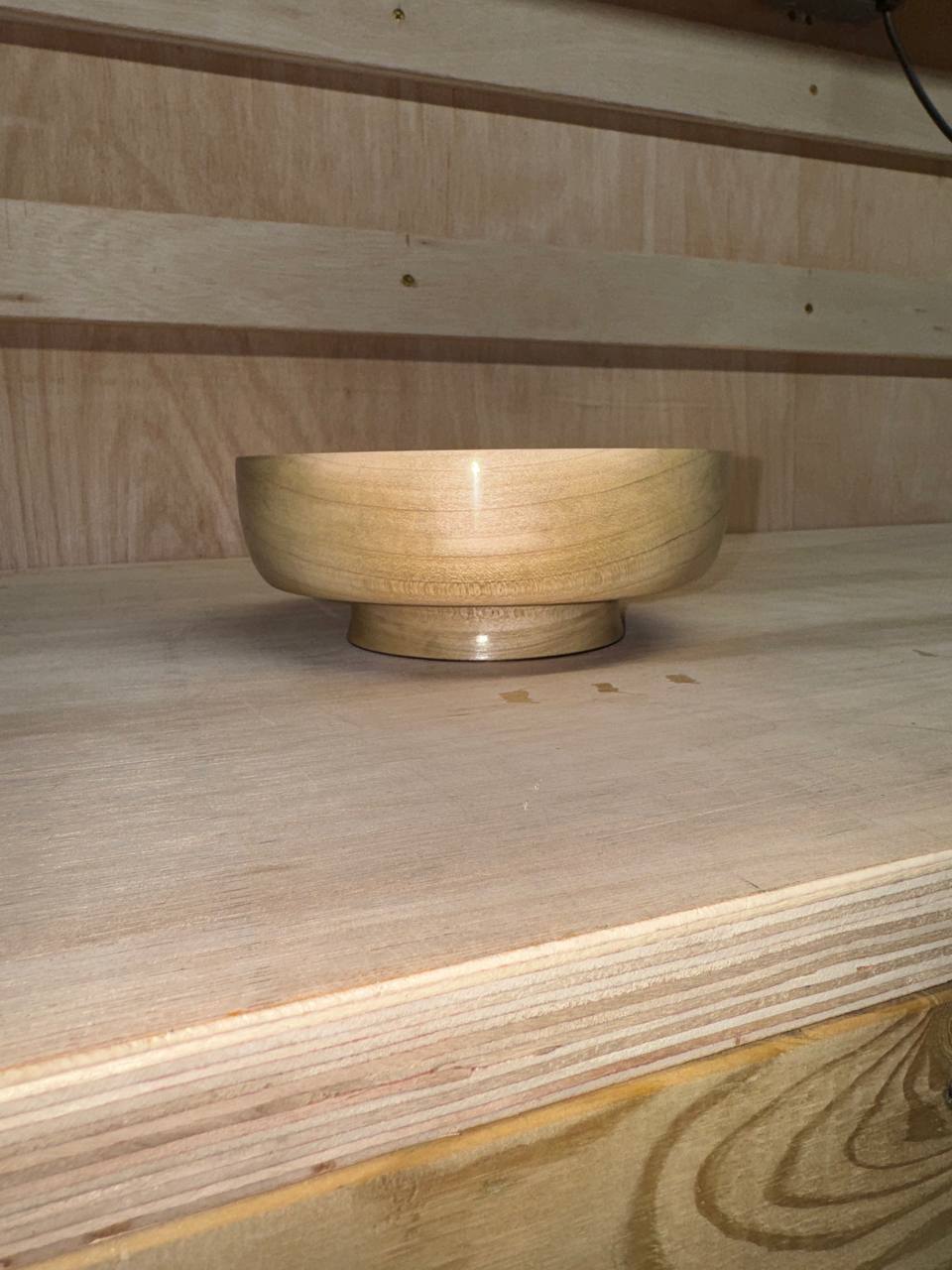 Profile showing the distinctive proportions