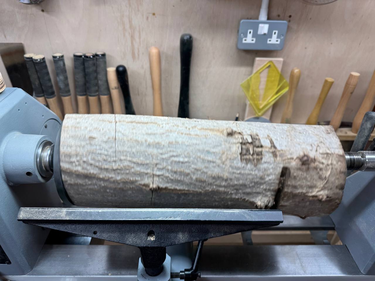 The raw walnut branch mounted on the lathe