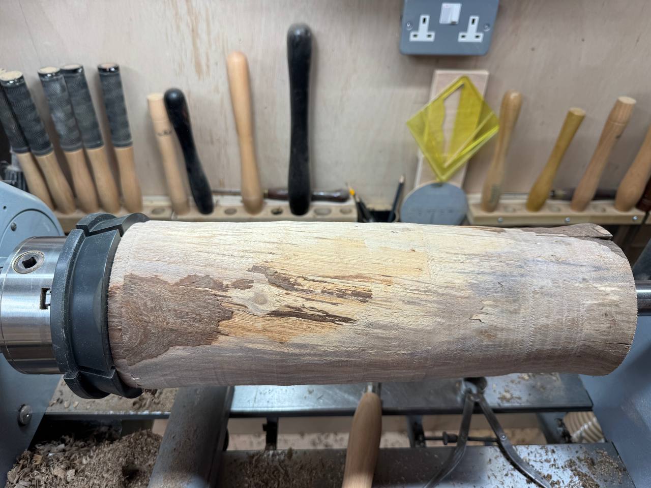 Roughed to a cylinder, with spalting visible