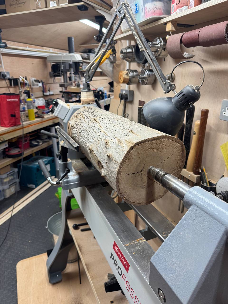 The raw walnut branch mounted on the Axminster
