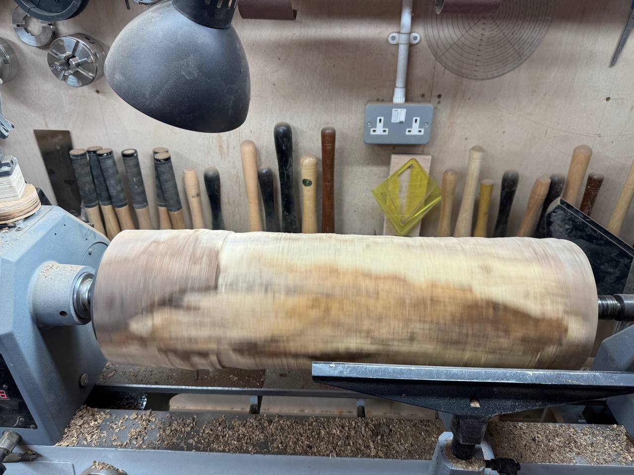 Roughed to a cylinder, spalting and colour variation visible